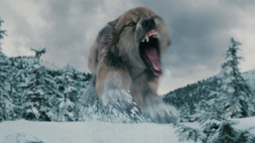 wolf-attacking