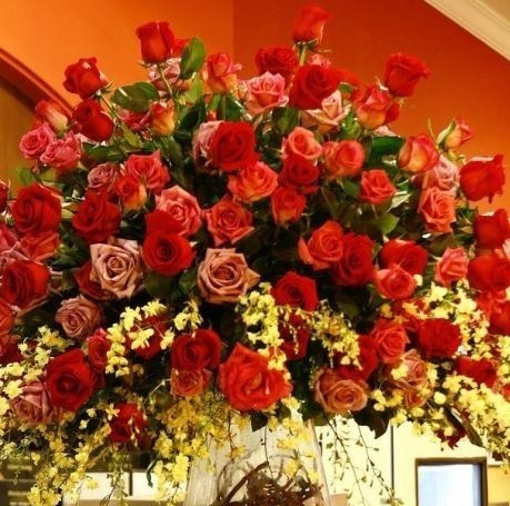 157457027_9389712_16613337