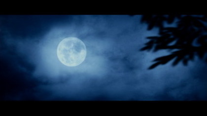 014 - Danut           iubire