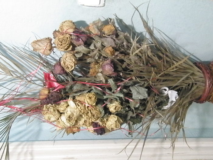 PA249844 - flori