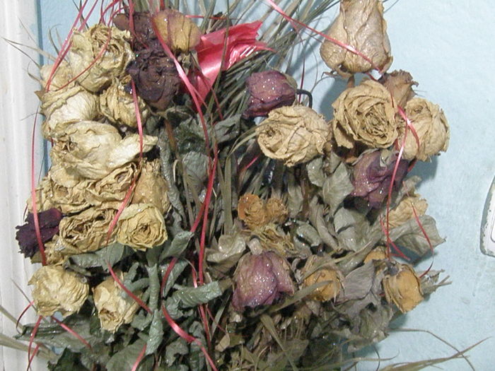 PA249845 - flori