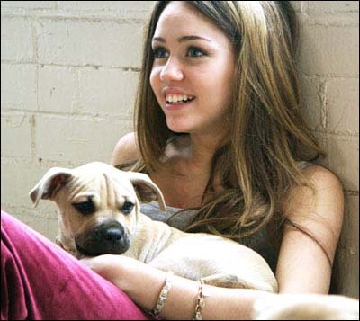 image2532102 - hannah montana si miley cyrus