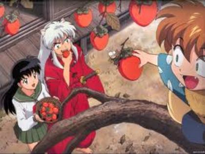imagesCACNBO0N - Inuyasha