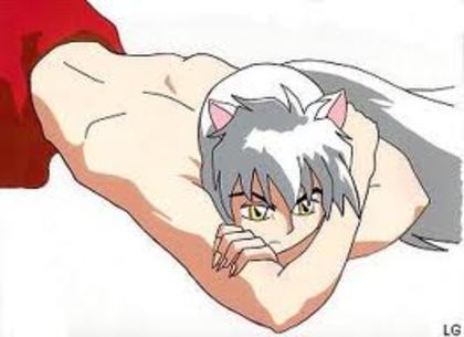 imagesCARQ055D - Inuyasha
