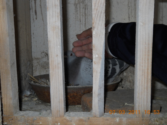 DSCN1124; campioana olteniei
