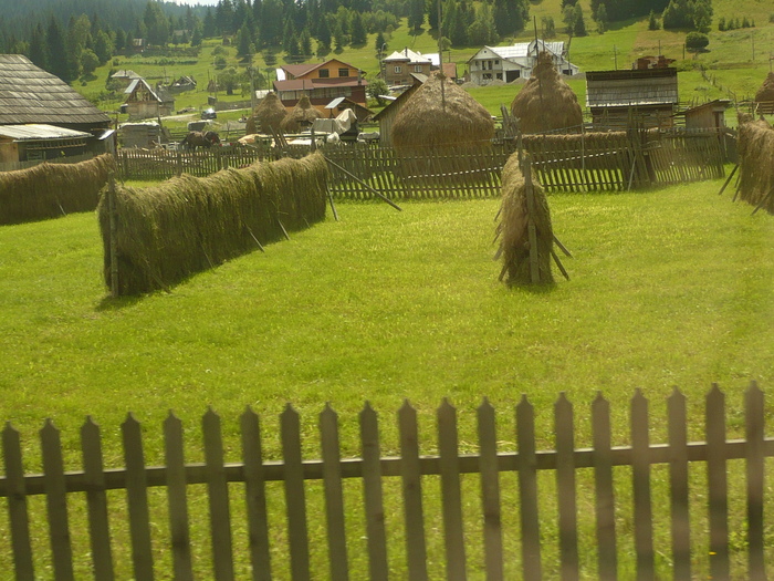 in Bucovina - viata la tara