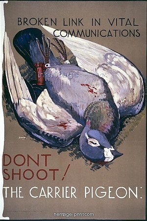 dont-shoot-the-carrier-pigeon-world-war-ii-poster-c1939-c1945_1974325