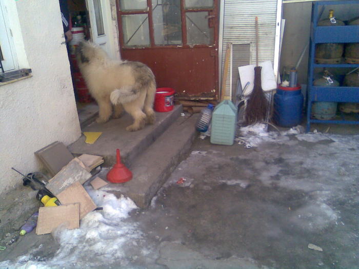 Imag371 - MIORITIC CATELUSA