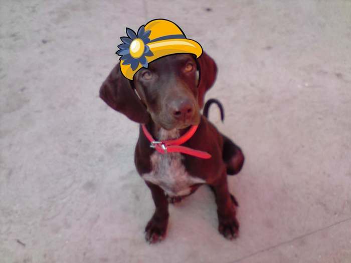 p241010_16.24[01]_001