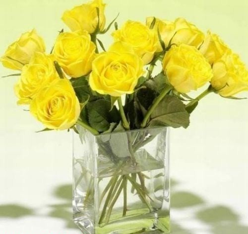 157233591_13223297_16621700