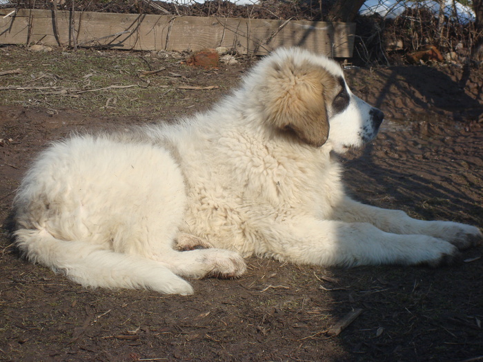 DSC01467; PIN 4,5 luni
