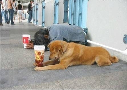 lets_laugh_4a_while_01