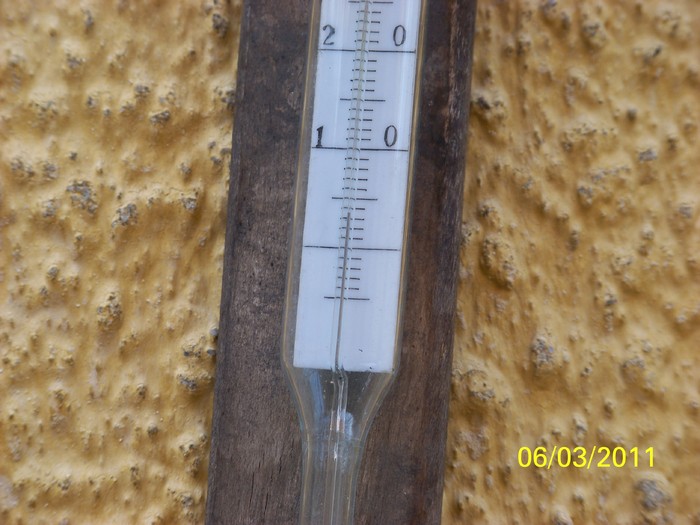 100_9861 - Iarna 2010  2011