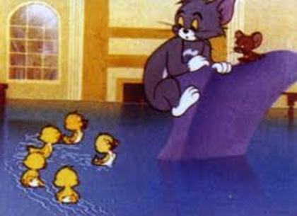 Tom si Jerry - Tom si Jerry