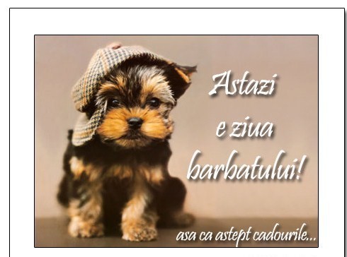 79514997_5331965_16622541 - animale 2202