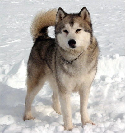 1511118286a3995111975b117999889l