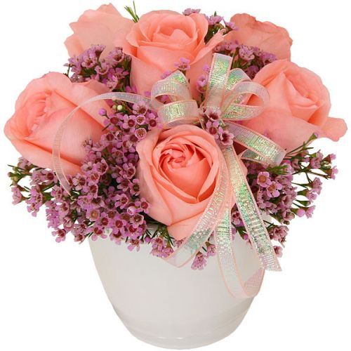 151816203_15933267_16472709