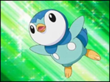 piplup:vreu si eu!!!! - Super Ballte Pokemon episodul 1