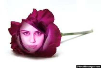XWGYHQMAGTKGCLLFXND - hannah montana si miley cyrus