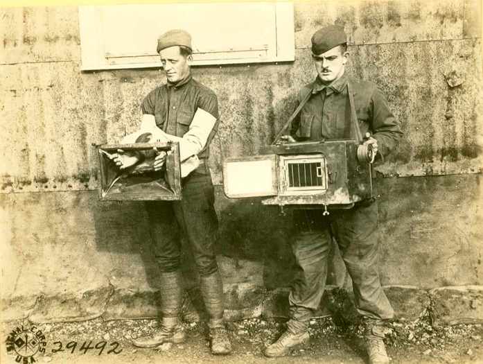 Captured German Pigeon Box