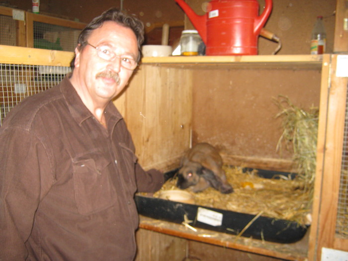 eu cu berbecul englez in germania eu cu berbecul englez in germania