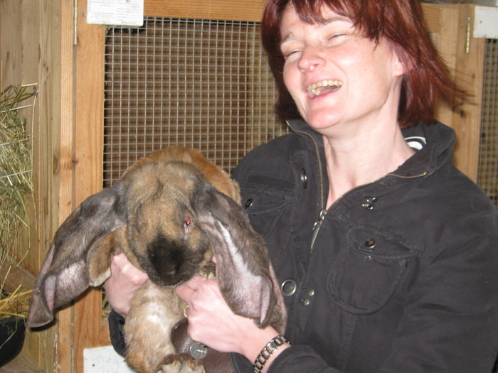 stapina cu berbecul englez stapina cu berbecul englez