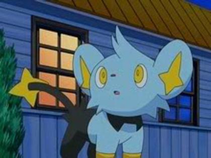 Shinx:saracul.... - Super Ballte Pokemon episodul 2