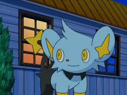 Shinx:hey cine vine? - Super Ballte Pokemon episodul 2