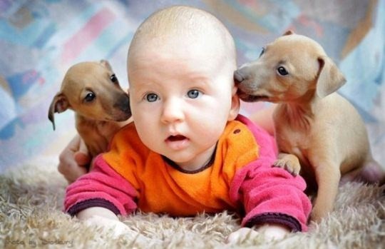 108874803_6897374_12819443