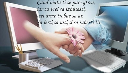 146901911_3719854_15400797