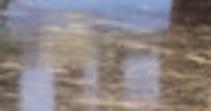 31816344_NKVKSIWOW_010