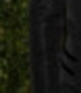 32169879_LHDLIEMSQ_010