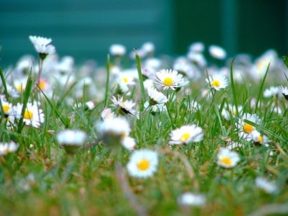 479608583_ad15027eb1