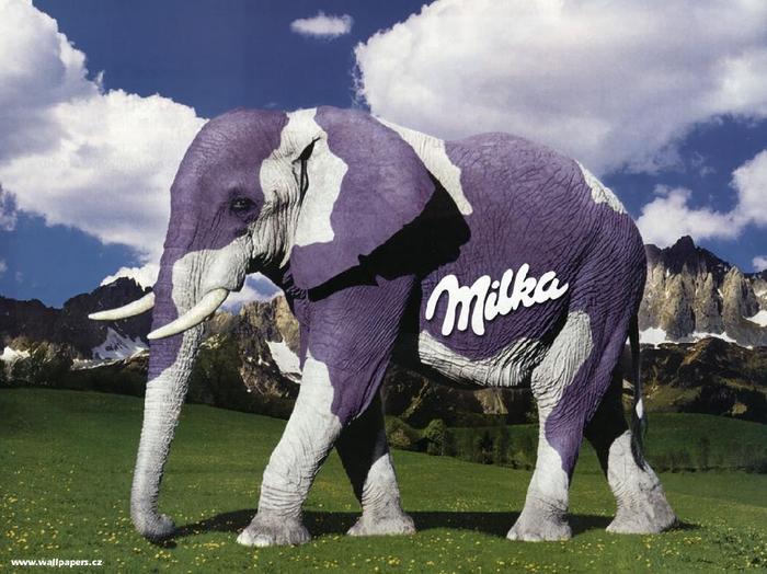 milka - Photo funny and