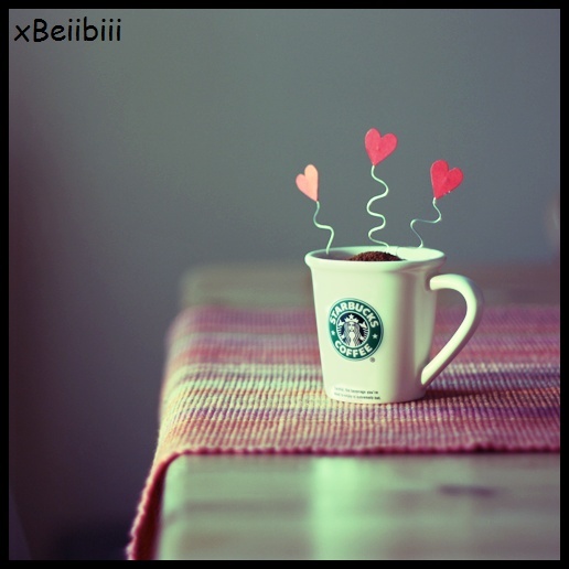 > Starbucks < - Xx Starbucks - Coffe xX