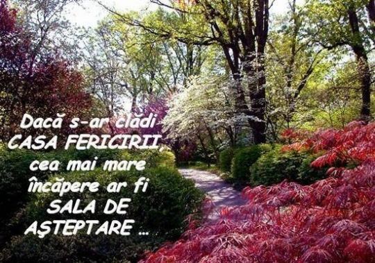 133021999_10939504_16606403