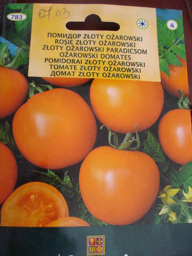 Tomato Zloty Ozarowski - Tomato Zloty Ozarowski