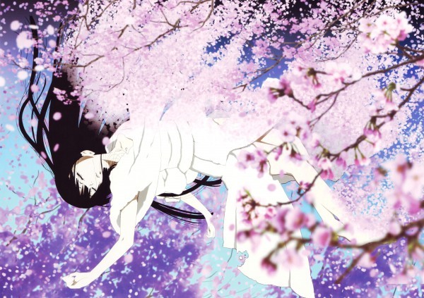 136592 - ANIME - Cherry Blossom