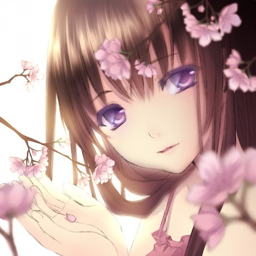 156702 - ANIME - Cherry Blossom