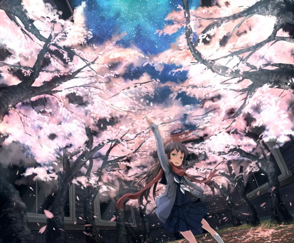 162814 - ANIME - Cherry Blossom