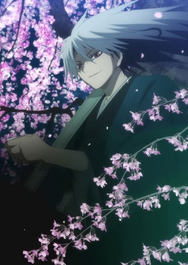 372306 - ANIME - Cherry Blossom