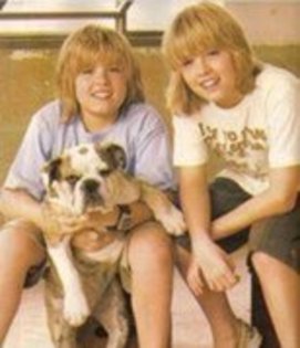 cole and dylan - my favorit stars