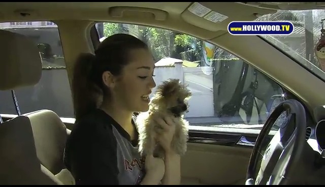 bscap0009 - Miley Has a Brand New Puppy