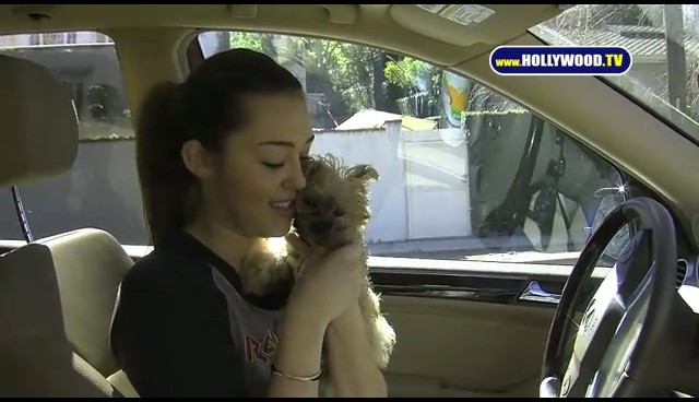 bscap0014 - Miley Has a Brand New Puppy