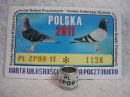 PL zp 06 - Polonia