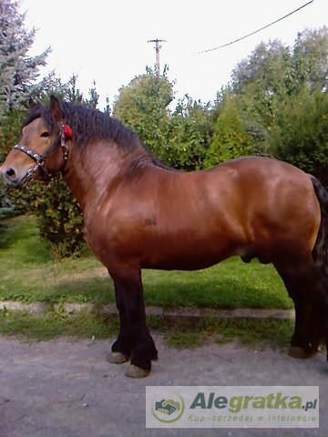 2679312792313497_N[1]