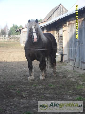 10234244447590403_N[1]