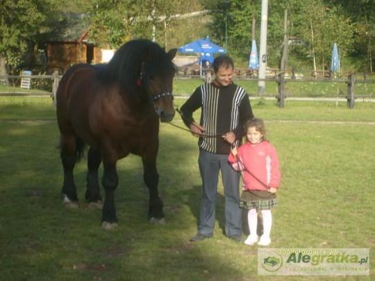 10883179262313497_N[1]