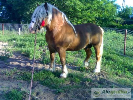 14990118113250307_N[1]