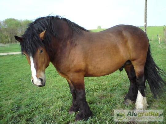 18032222355051151_N[1]